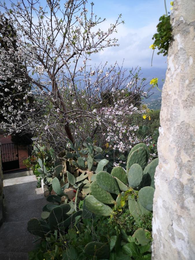Casa Opuntia Villa Pappaygiannades Exterior photo
