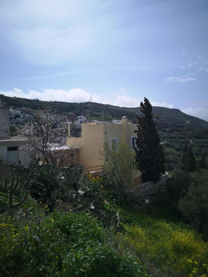Casa Opuntia Villa Pappaygiannades Exterior photo